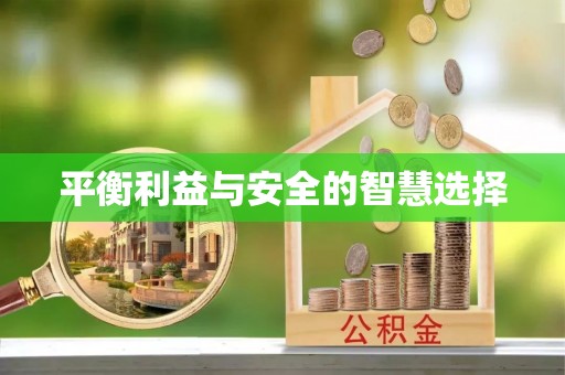 惠济平衡利益与安全的智慧选择