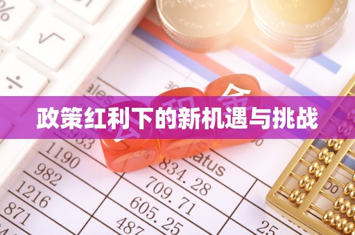 惠济政策红利下的新机遇与挑战