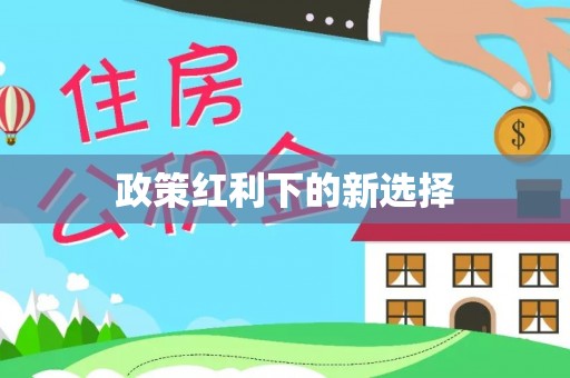 惠济政策红利下的新选择