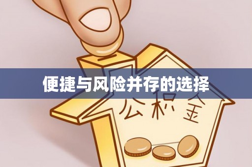惠济便捷与风险并存的选择