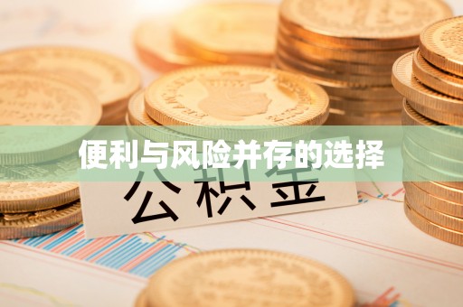 惠济便利与风险并存的选择