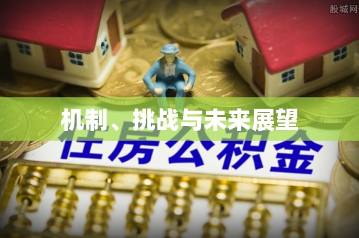 惠济机制、挑战与未来展望