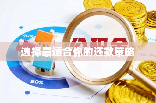 惠济选择最适合你的还款策略