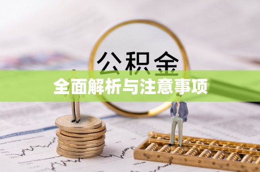 惠济全面解析与注意事项
