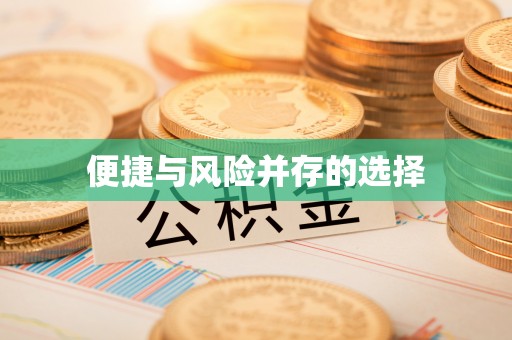 惠济便捷与风险并存的选择