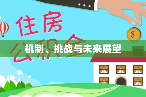 惠济机制、挑战与未来展望